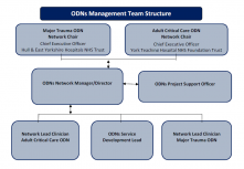 ODN's Team Structure